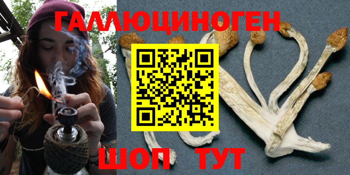 где купить   Вход с VPN  Камень-на-Оби  Псилоцибиновые грибы ЛСД 